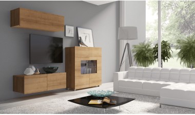 wall-units - EVO IX Furniture Wall Unit