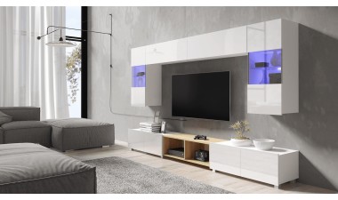 mebloscianki - EVO XXIV Meblościanka