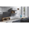 EVO XXV Furniture Wall Unit - 1