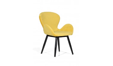 chairs-and-armchairs - Nola Chair