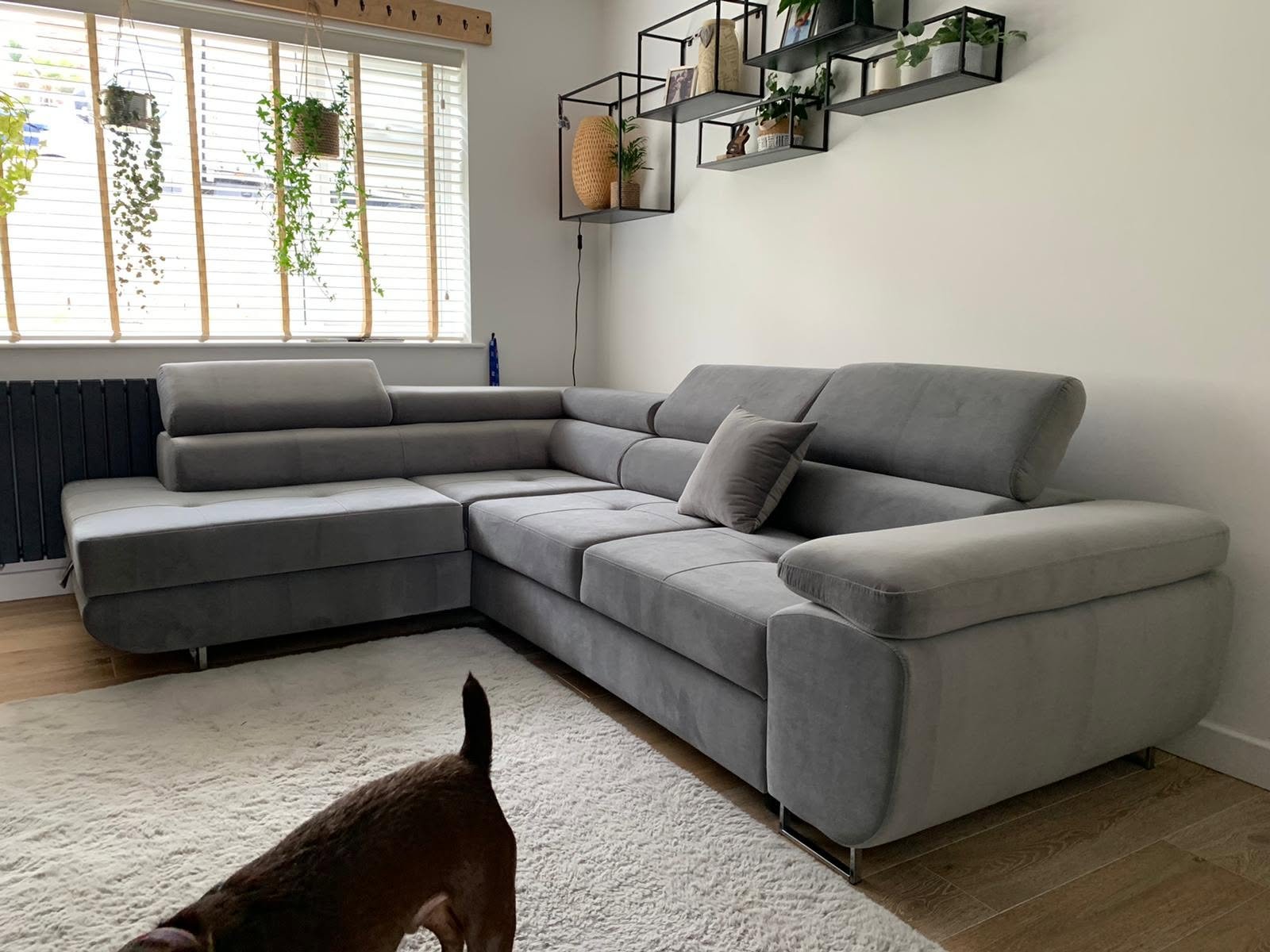 Grey corner sofa bed with the family dog, customer photo